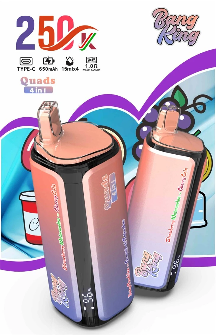 BANG KING 250K-DSK074 Puff Vape price