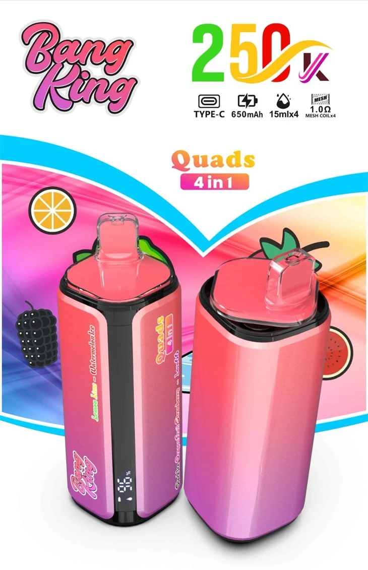 BANG KING 250K-DSK074 Puff Vape suppliers