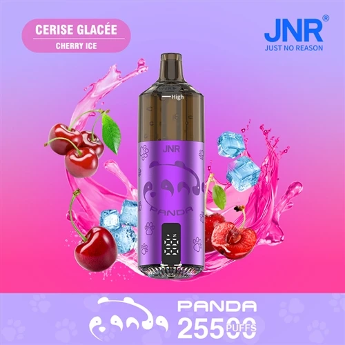 Jnr Panda 25500 Puffs Flavours: A Taster's Honest Run-Down